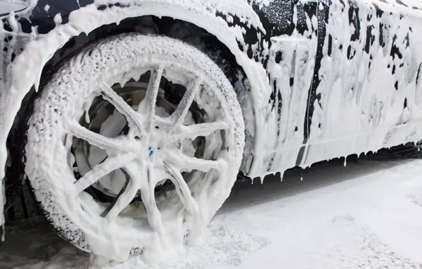 Logo, rims, foam, cleaning