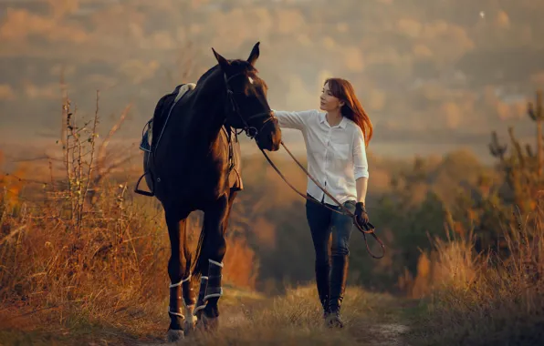 Road, field, autumn, look, girl, nature, pose, horse