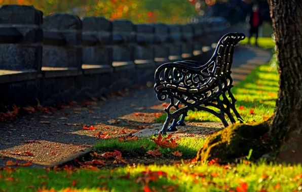Picture autumn, forest, grass, leaves, trees, bench, nature, Park