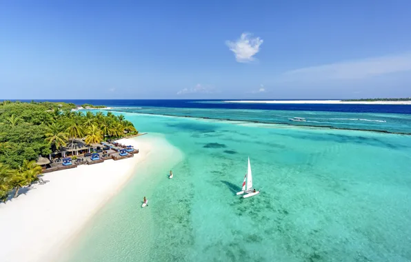 Beach, palm trees, the ocean, island, The Maldives, resort, Laguna, MALDIVES