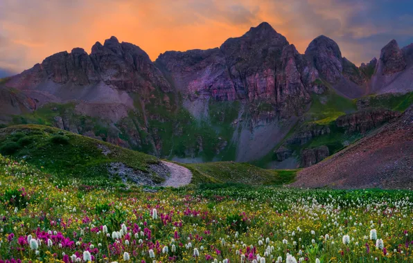 Road, field, the sky, grass, sunset, flowers, mountains, Landscapes