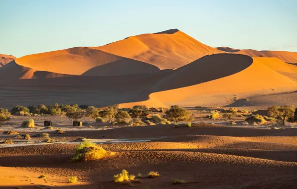 Picture the dunes, desert, Namibia, Sands, Sossusvlei