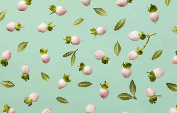 Berries, texture, fruit, pattern, the snowberry, patterns, the fruits of the snowberry