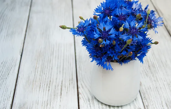 Picture bouquet, vase, cornflowers, Olena Rudo