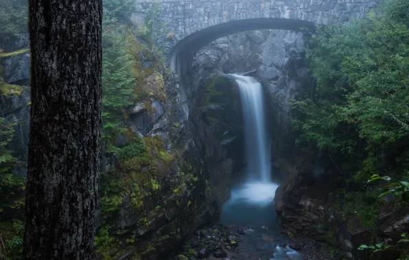 Trees, bridge, Waterfall, arch