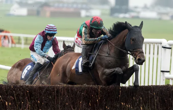 Picture Horse, Yorkshire, Races, Jockey, Jumps