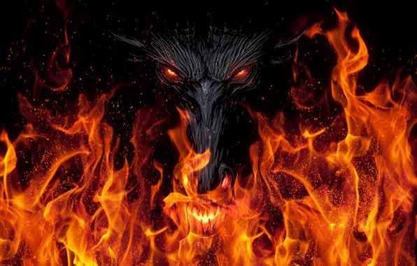 Look, background, fiction, fire, black, dragon, art, mouth