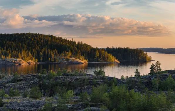 Picture landscape, nature, lake, stones, forest, Lake Ladoga, Karelia, Ladoga