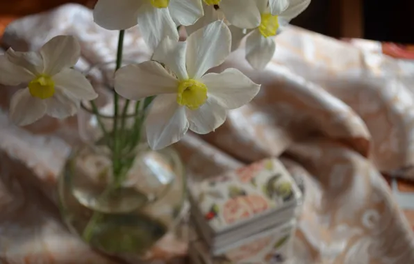 Vase, yellow, tablecloth, daffodils, white color