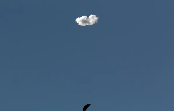 Picture background, umbrella, cloud
