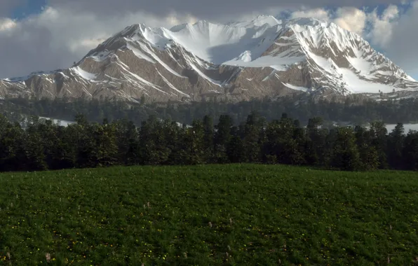 Grass, trees, mountains, nature, glade, tops, spruce, art