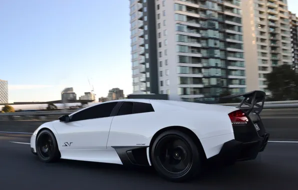 Picture road, white, the sky, speed, white, lamborghini, side view, road