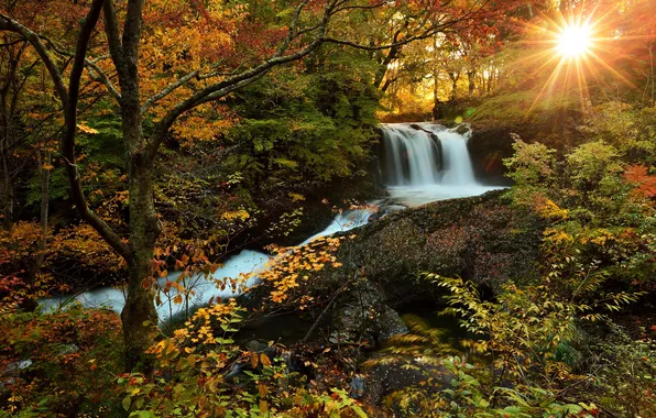 Picture autumn, forest, the sun, nature, photo, waterfall