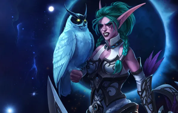 Night, Figure, Owl, Elf, Blizzard, Elf, Art, Pet