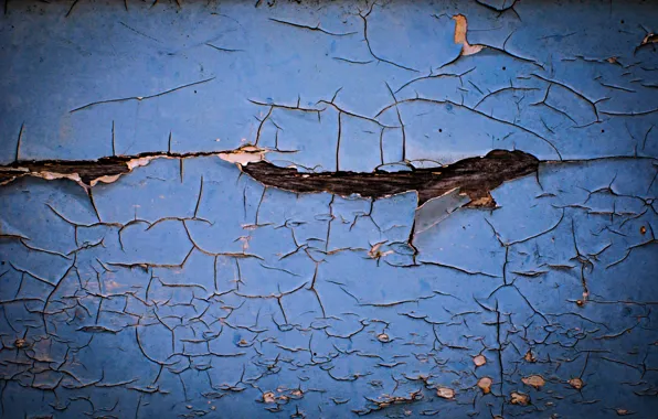 Cracked, tree, paint, color