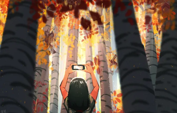 Back, hands, girl, photographing, smartphone, autumn trees, trunks of birch trees