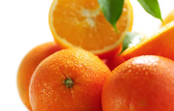 Picture macro, orange, food, fruit, citrus