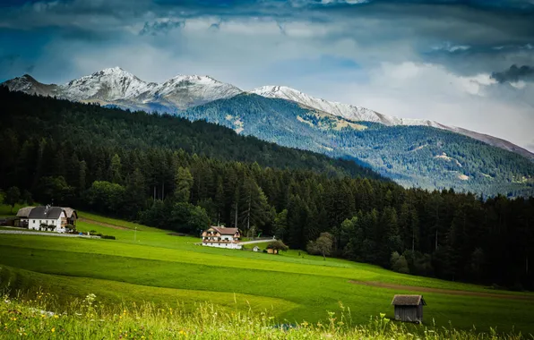 Picture forest, mountains, nature, home