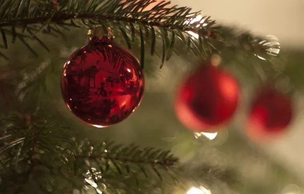 Balls, tree, new year, Christmas, branch, decoration
