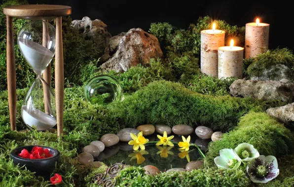 Stones, watch, moss, candles, Narcissus, hellebore, heleborus