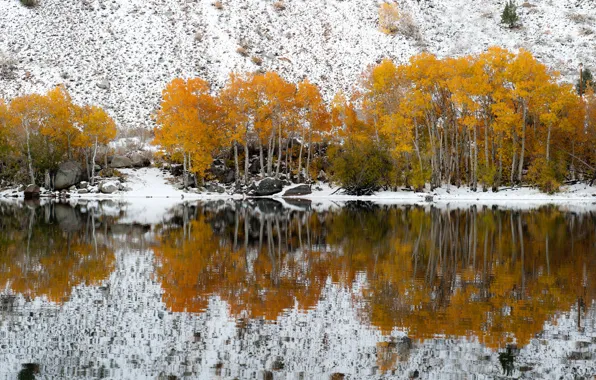 Picture autumn, snow, trees, lake, reflection, slope