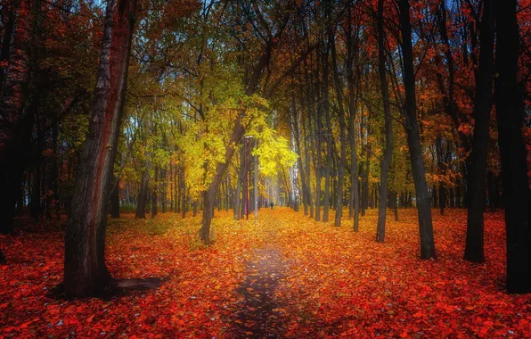 Autumn, the city, Park