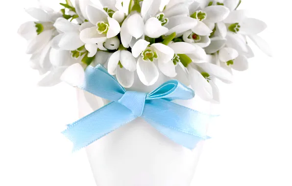 Bouquet, snowdrops, white, flowers, spring, delicate, snowdrops