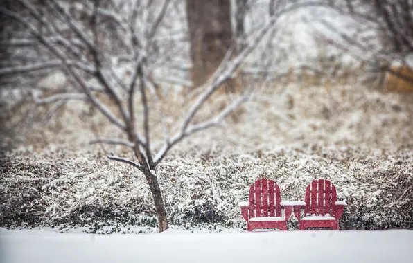 Winter, snow, trees, chair, bokeh
