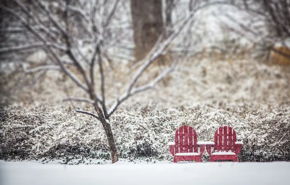 Winter, snow, tree, chairs, bokeh