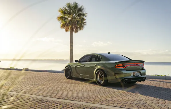 Picture Dodge, Charger, SRT Hellcat, Palm Tree