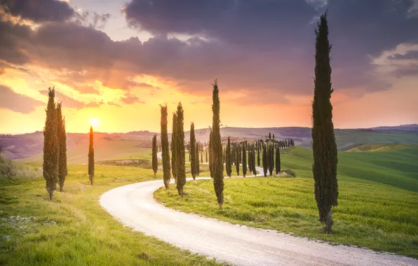 Road, field, dawn, hills, dal, Italy, cypress, Tuscany