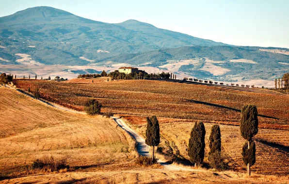 Picture road, mountains, house, Italy, Sunny day, Tuscany