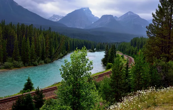 Forest, trees, mountains, river, Canada, railroad, Banff, Bow river