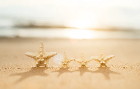 Sand, sea, wave, beach, summer, shore, star, summer