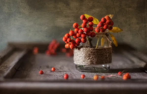Picture berries, blur, texture, Bank, placer, Rowan