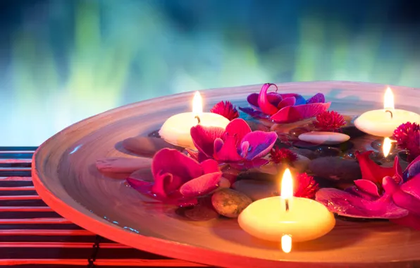 Water, flowers, candles, orchids, water, flowers, Spa, Spa
