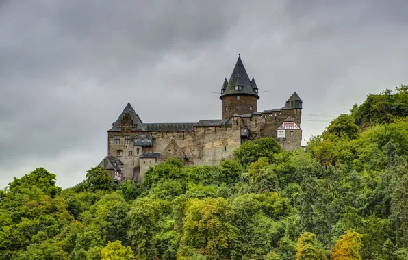 Picture forest, mountains, the city, photo, castle, Germany, Bacharach