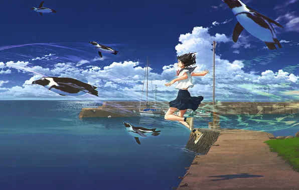 Sea, the sky, girl, penguins