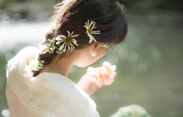 Picture background, girl, chamomile