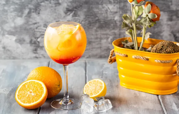 Ice, cocktail, citrus