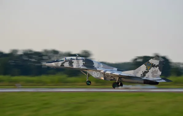 Picture Fighter, Ukraine, Landing, The MiG-29, WFP, Chassis, Ukrainian air force
