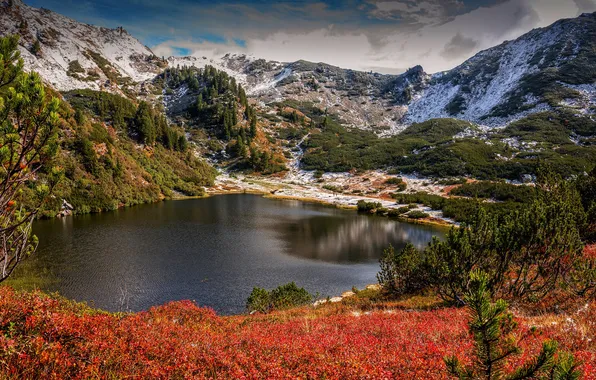 Autumn, forest, snow, mountains, lake, rocks, shore, glade