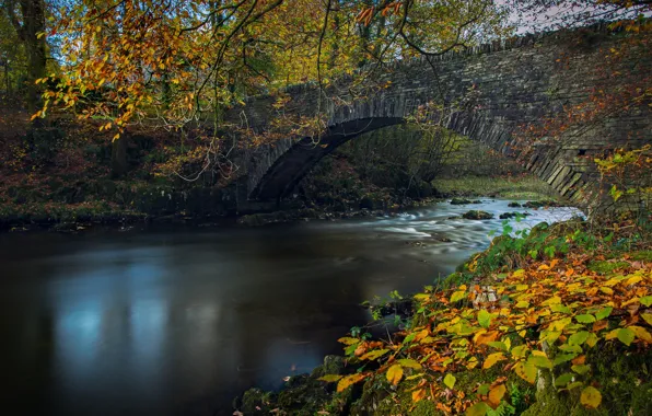Autumn, leaves, branches, bridge, river, England, England, The lake district