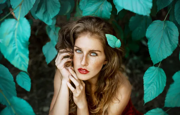 Picture look, leaves, face, mood, hair, hands, freckles, Ronny Garcia