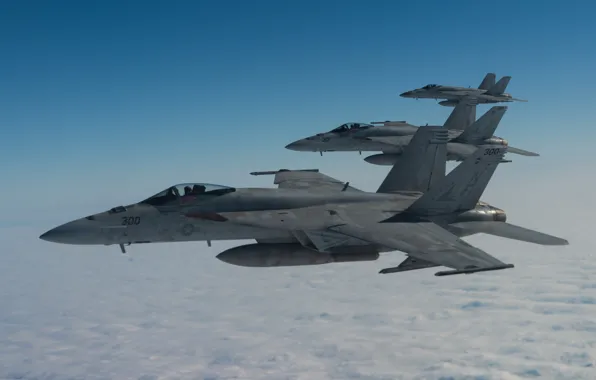 Picture American carrier-based fighter-bomber, Boeing, F/A-18E Super Hornet, attack, US NAVY