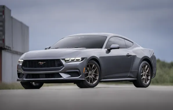 Mustang, Ford, front view, 2024, Ford Mustang EcoBoost