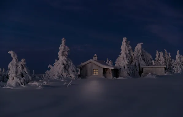 Picture winter, snow, trees, landscape, night, nature, house, ate