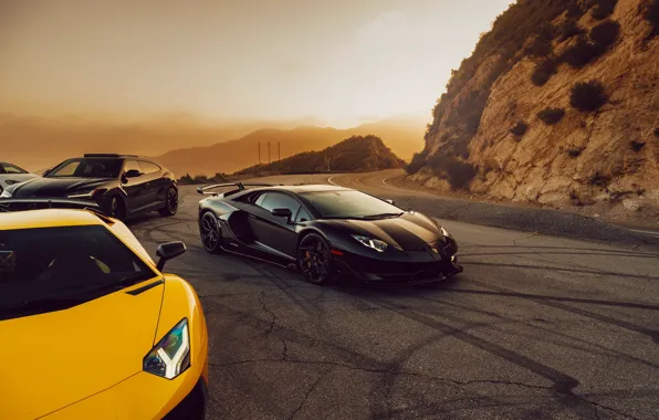 Picture Sunset, Aventador, SUV, Urus, VAG, Huracan, Lanborghini