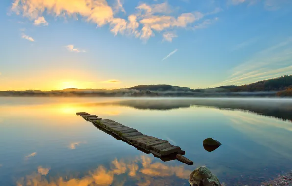 Forest, fog, lake, morning, rasvet