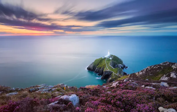 Sea, the sky, clouds, flowers, stones, shore, lighthouse, dal